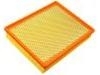 Luftfilter Air Filter:15908915