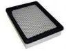 Air Filter:2504 5333