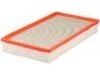 Air Filter:19152817