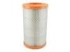 Air Filter:9L8Z-9601-A