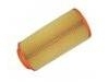 Air Filter:CK159029