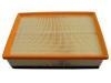 Air Filter:82 00 795 348