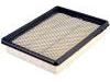 Filtro de aire Air Filter:10342024