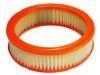 Air Filter:25040881